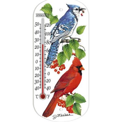 Springfield Big and Bold Thermometer with Mounting Bracket, 5.25